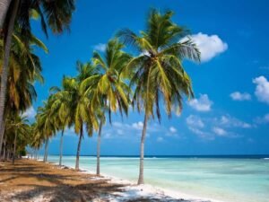 Lakshadweep: Where Turquoise Waters Meet Emerald Dreams