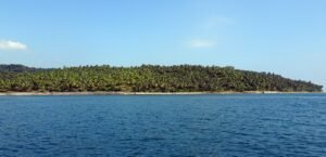 Exploring the Charm of Andaman and Nicobar Islands: Culture, food, festival and Beyond